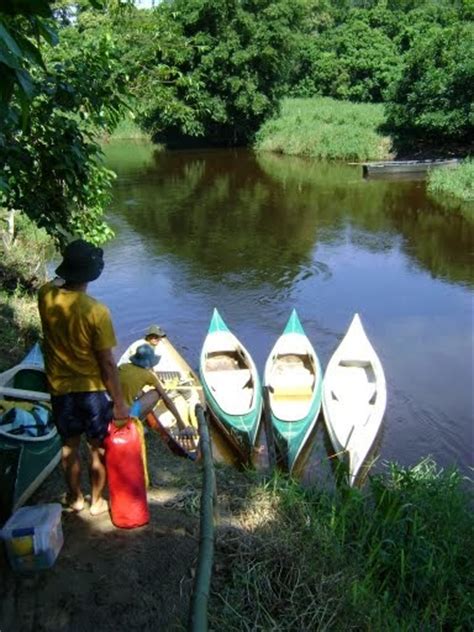 Canoagem E Expedi Es Rios Itapanha Itatinga E Jaguaregua Bertioga Sp