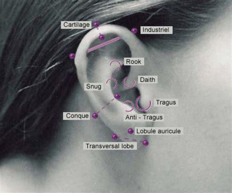 Ear Piercing Everything You Wish To Know