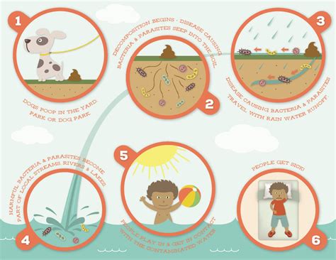 Pet Waste Education Program | Capitol Heights, MD