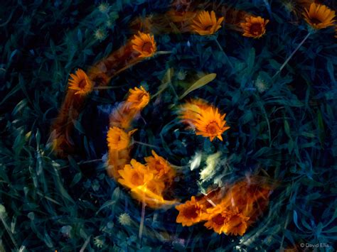 Publishers explain what makes a david ellis story so gripping 25