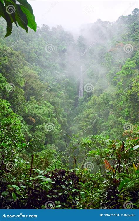 Mountain Jungle Stock Photo Image Of Landscape Forest 13679184