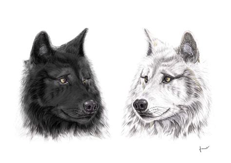 The wolves :: Behance