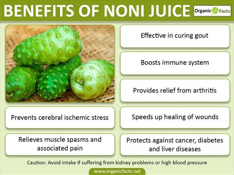 Benefits Of Noni Juice - Kisah Si Dairy