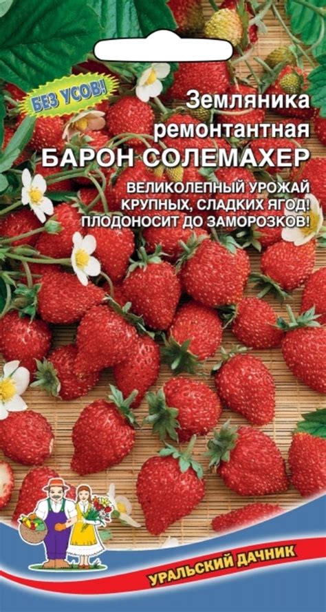 Перец Толстый Барон Описание Сорта Фото Отзывы – Telegraph