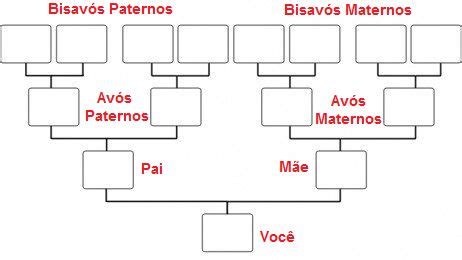 Confira como montar a sua arvore genealógica passo a passo Árvore