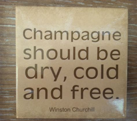 Pin By Cindy Geib On Tiny Bubbles Champagne Quotes Champagne Humor