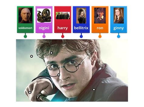 Harry Potter Labelled Diagram