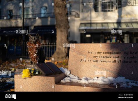 Street Cat Bob Stock Photo - Alamy