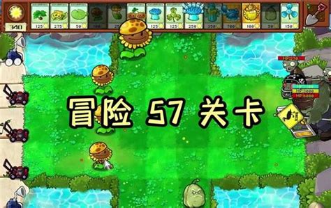 植物大战僵尸杂交版冒险模式57关攻略 冒险模式57关通关方法 XP游戏网