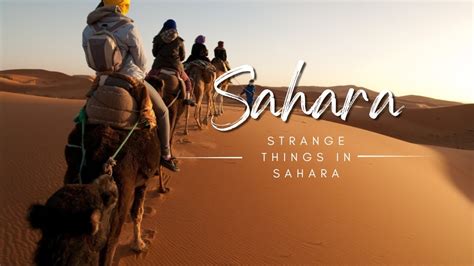 Unveiling The Secrets Of The Sahara Exploring The Worlds Largest