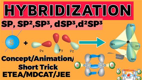 Hybridization Animation Concept And Characteristics Sp Sp Sp