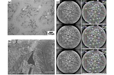 Cross Microstructures Of A Optical Image B Sem Image 5mm Below The Download Scientific