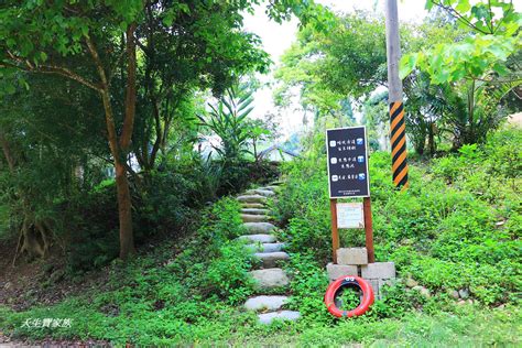 苗栗通霄「飛螢農莊」桐花走廊，油桐花私房秘境 天生寶家族