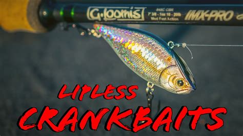 4 Lipless Crankbait Tricks For Springtime Bass Fishing Bass Manager