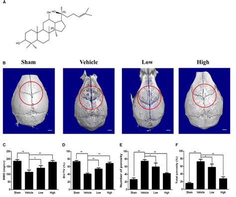 Frontiers S Protopanaxadiol Inhibits Titanium Particle Induced