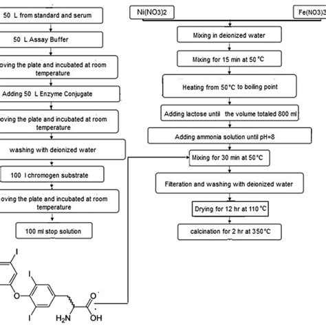 Preparation Of The Nife2o4 Nanocatalyst Download Scientific Diagram