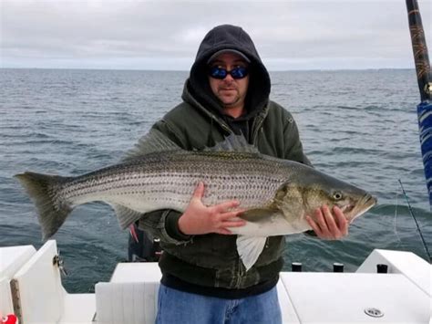 Explore the Price Variety of Cape Charles Fishing Charters