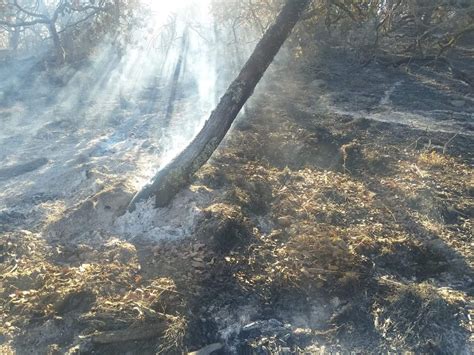 Se afectan 7 hectáreas de pastizales por incendio en El Plateado de