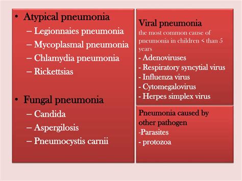 Ppt Pneumonia Powerpoint Presentation Free Download Id 2611831