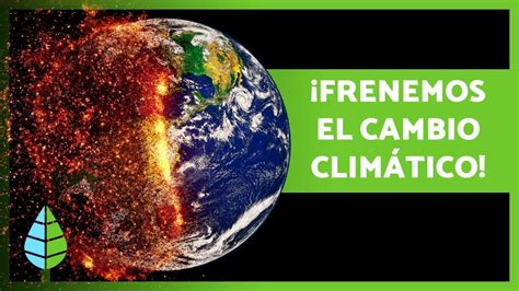 Cómo Evitar El Cambio ClimÁtico 🌏⚠️ 20 Formas De Combatirlo Youtube