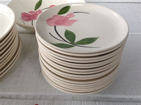 Vintage S Handpainted Floral China Stetson Dinnerware Etsy