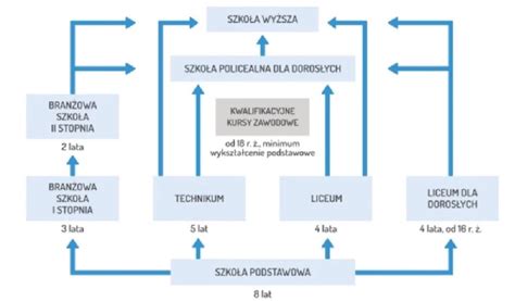 Doradca Zawodowy Doradztwo Zawodowe Dla Uczni W Szko Y