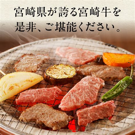 宮崎牛カルビ焼肉500gm243 004｜マイナビふるさと納税