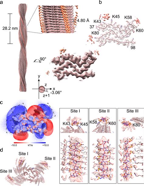 Cryo Em Structure Of The Hep P4 Fibril A Cryo Em Density Map Of The