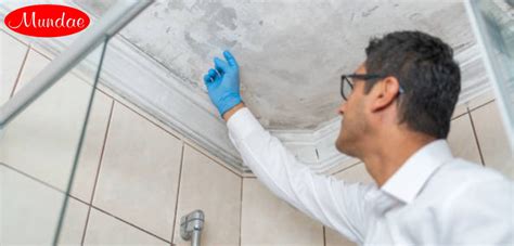 The Importance Of Mold Inspection And Testing In Houston Protecting