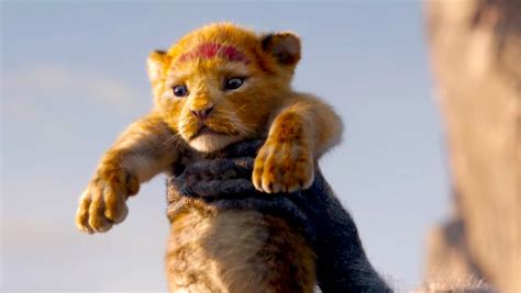 The Lion King Teaser Trailer 2019 Moviefone