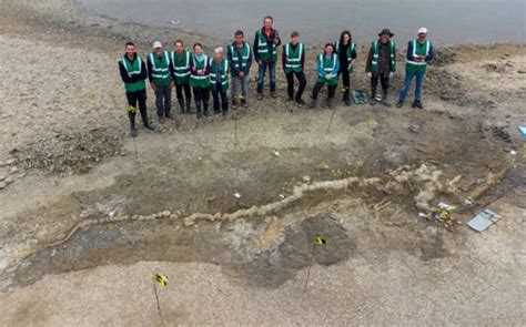 10 meter sea dragon skeleton found in England - culturehubmagazine.co.uk