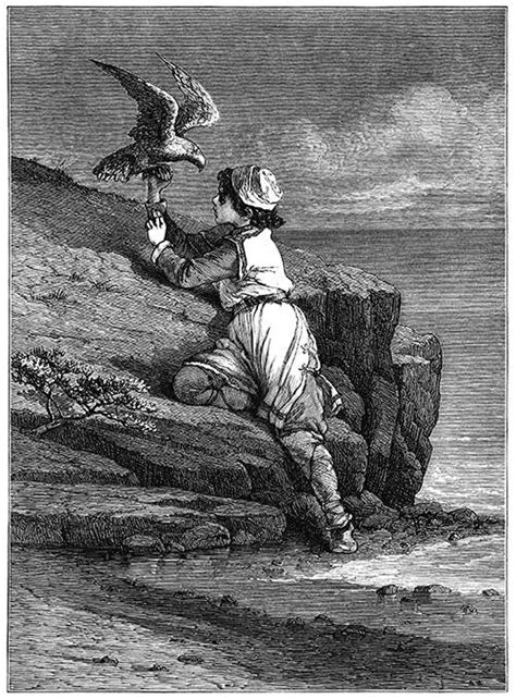 Tamed the Gerfalcon | Old Book Illustrations