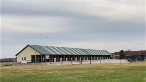 Racing Pigeons Weekend The Hoosier Classic One Loft Race Youtube