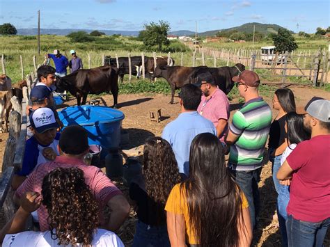 Projeto De Extensão Da Ufpb Apoia Produtores De Leite Das Regiões De