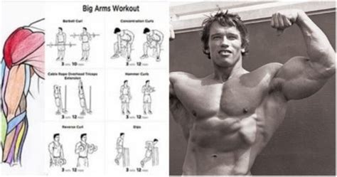 The 18 Best Dumbbell Exercises For Biceps Fitness Workouts Exercises