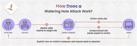 Watering Hole Attack | Stay Secure