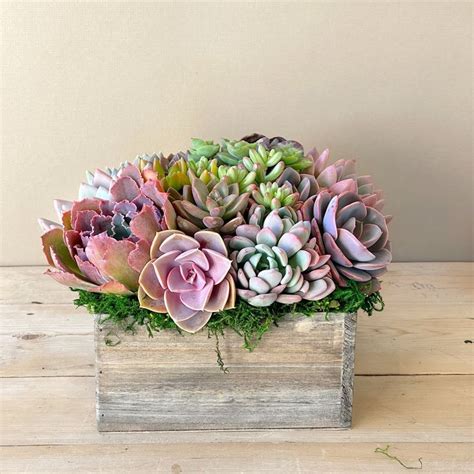 Best Seller Whitewashed Or Natural Square Wooden Planter Filled With Succulents And Trimmed With