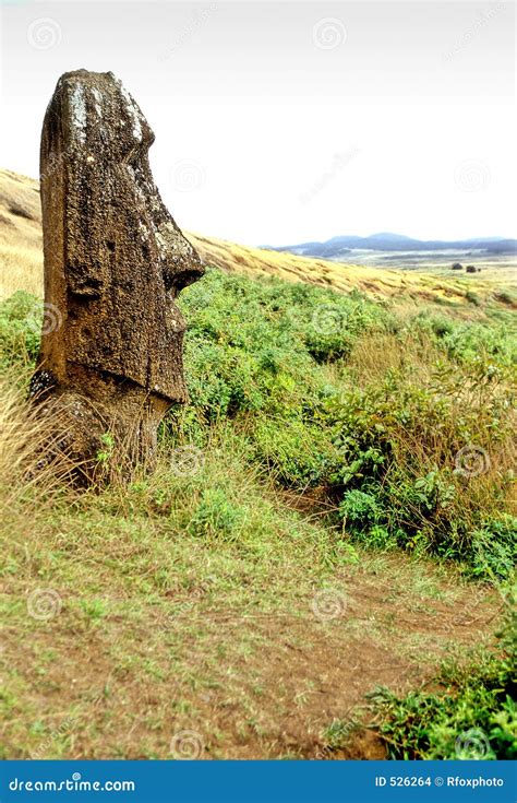 Moai- Easter Island stock photo. Image of enigma, guardians - 526264