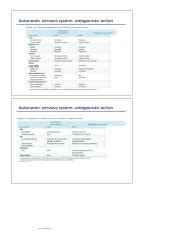 Understanding Autonomic Reflex Arcs And Blood Pressure Course Hero