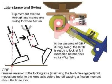 Designof A Fully Passive Prosthetic Knee Ppt