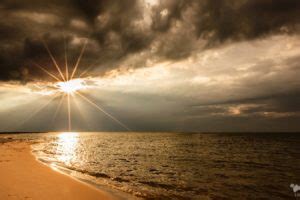 Evangeline Lilly Brunette Celebrity Brown Eyes Wallpapers HD Desktop And Mobile Backgrounds