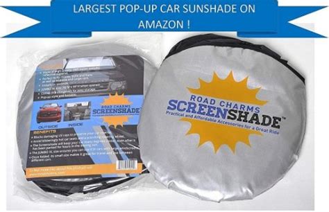 Best Car Window Shades Reviewed 2024