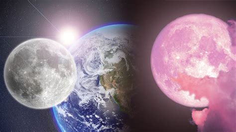 Full Pink Moon 23 April 2024 आसमान में पिंक मून क्यों दिखाई देता है धार्मिक और वैज्ञानिक कारण