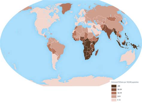 Tuberculosis In Africa Tuberculosis Information