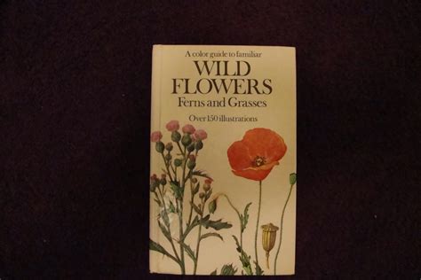 A Color Guide To Familiar Wild Flowers Ferns And Grasses Slavik