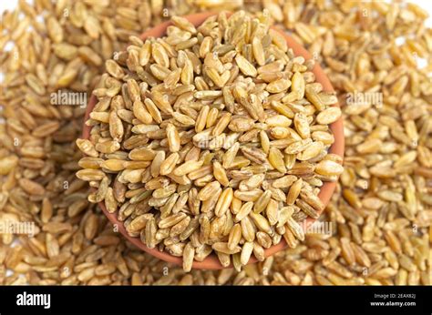 freekeh grain isolated   white background stock photo alamy