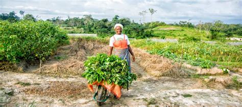 Applications Open For 2025 Resilient Agriculture Innovations For Nature