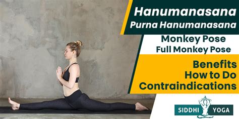 Hanumanasana Monkey Pose Benefits Contraindications How To Do