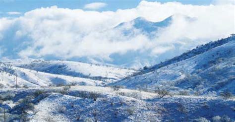 Nature Journeys: Snow! - Patagonia Regional Times