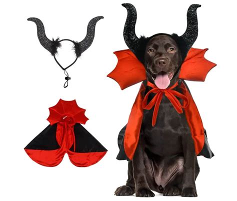 Halloween Costumes For Labradors Best Ideas And Options